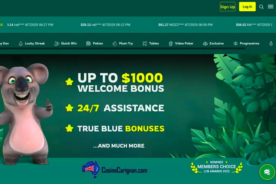 Fair Go Casino No Deposit Bonus Guide